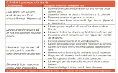 Dimension 5 av 10 i klartext. Vad GÖR en skicklig lärare?