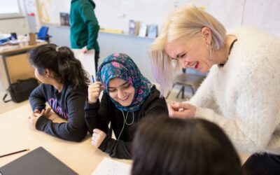 Utbredda och okända brister i undervisningen på svenska skolor