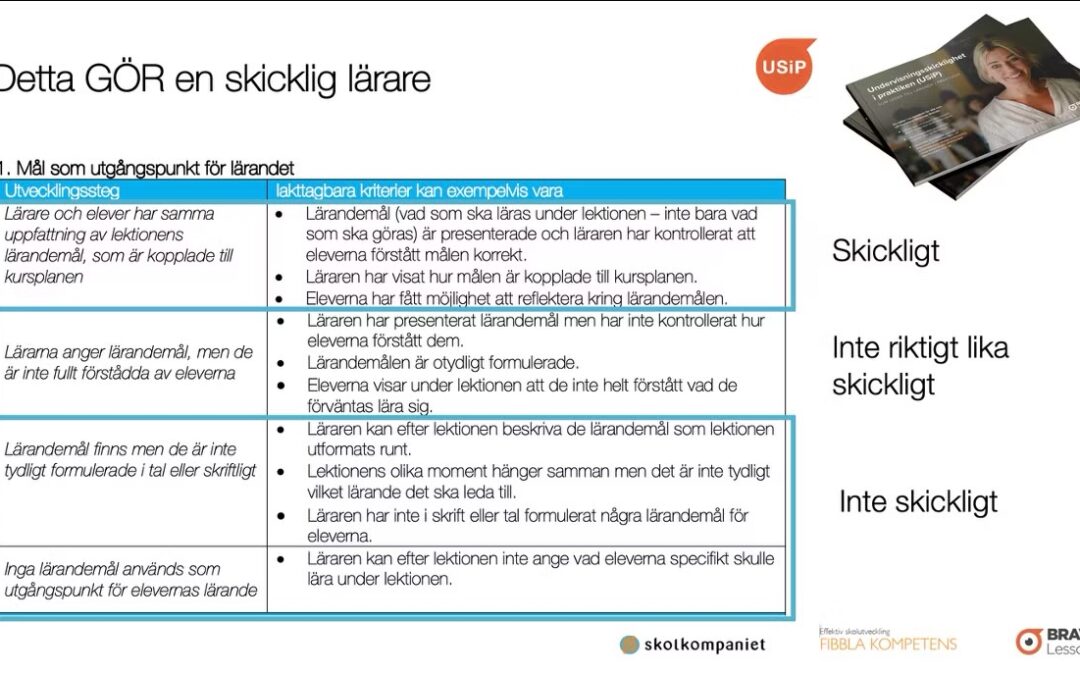 Undervisning som INTE är skicklig och framgångsrik – hur ser den ut?